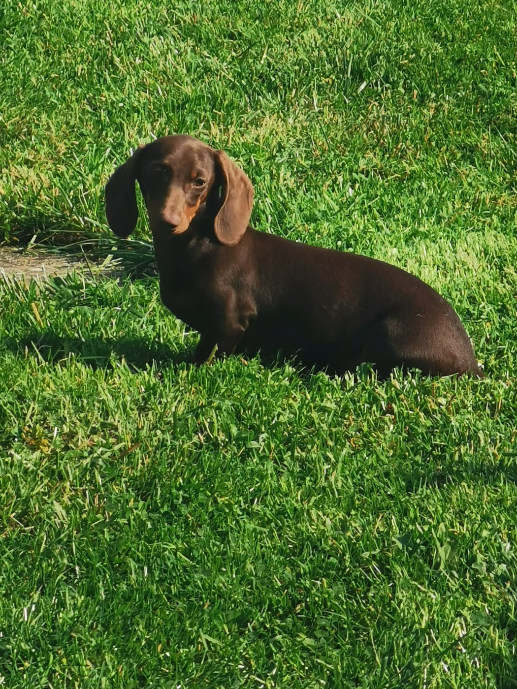 United (Sans Affixe)