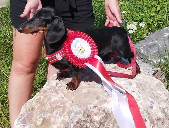 Thor dit Tino de ker ki douar