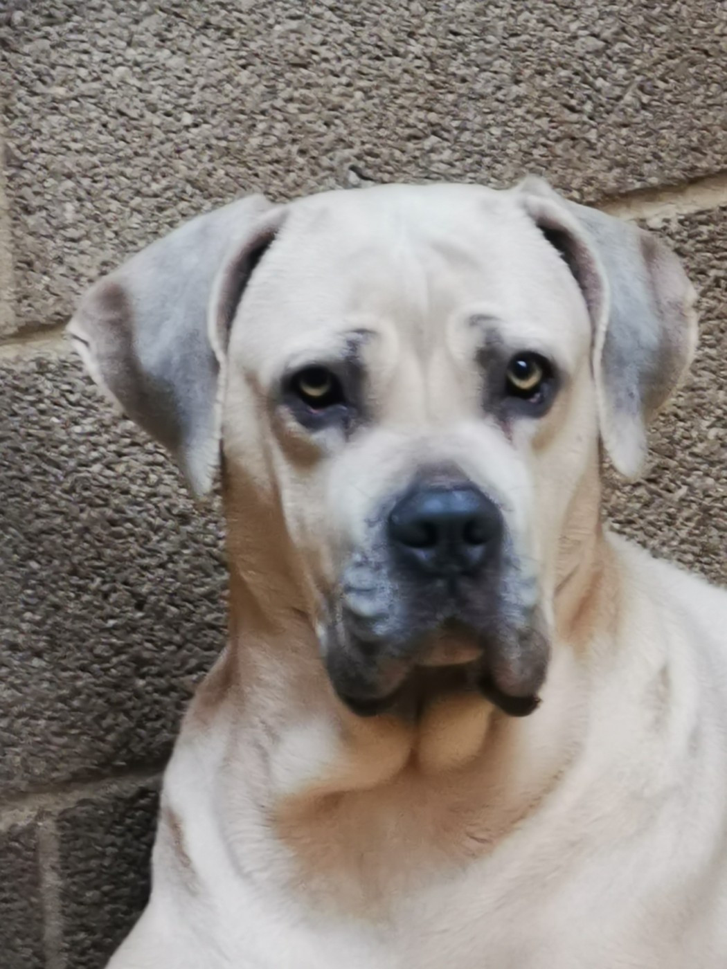 Only du Domaine de la Ternoise